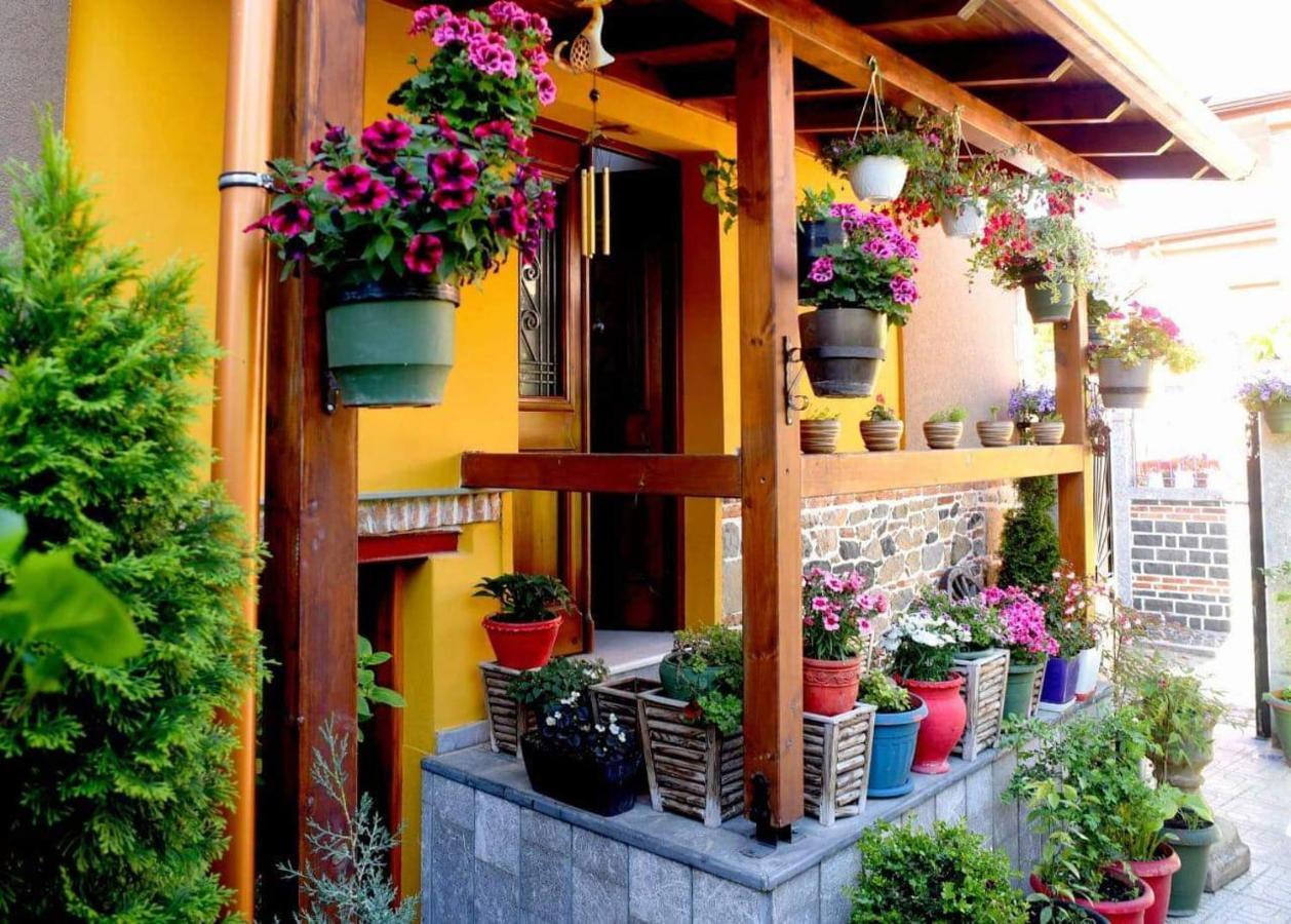 Hotel Bujtina Bicolli 코르처 외부 사진